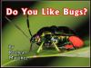 Do_You_Like_Bugs