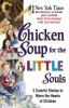 Chicken_soup_for_the_little_souls
