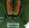 Japanese_beetle