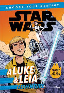 Star_Wars_A_Luke___Leia_Adventure